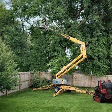Lawn Irrigation Installation and Maintenance in West Babylon, NY